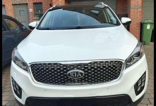 Kia 2.2 CRDi AWD Sense 7pl.