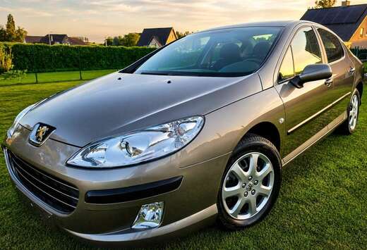Peugeot 407 1.7i 16v ST Confort