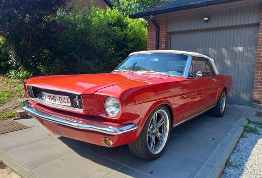 Ford 286 V8  1964 1/2