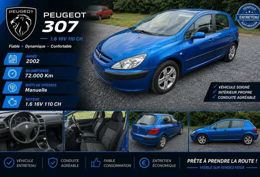 Peugeot 1.6i XS 110 ch 72000 km!!!!