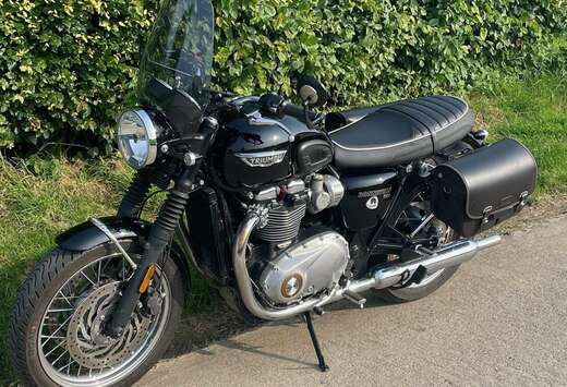 Triumph