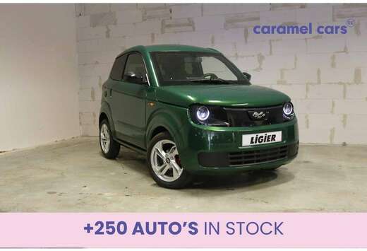 Ligier DIESEL E.PIC *CARPLAY*DAB*ACHTERUITRIJCAMERA*S ...