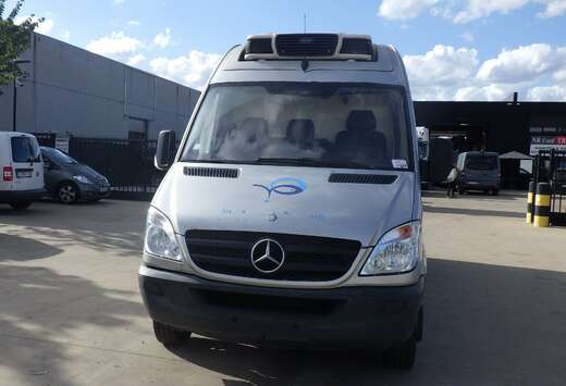 Mercedes-Benz 519 CDI L4 (Stock ID 98548)