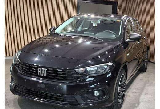 Fiat Sedan / Hatchback Station Wagon