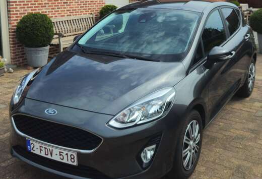 Ford Fiesta 1.1i Trend + nieuwe winterbanden (2000km)