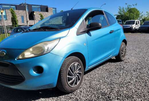 Ford 1.2i AL GEKEURD ROOS FORMULIER 2010