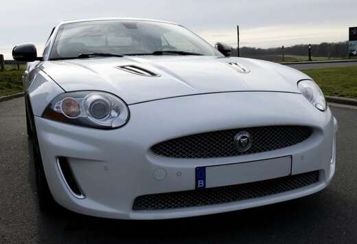 Jaguar Cabriolet 5.0i V8 S/C