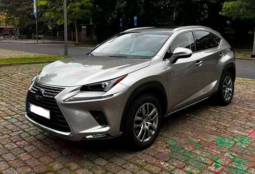 Lexus NX 300h 2.5i AWD Business Line  E-CVT (EU6.2)