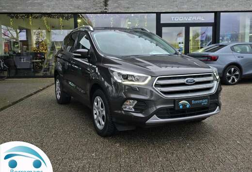 Ford Carplay/Cruise-Limit/Parkeerhulp/Winterpack /... ...