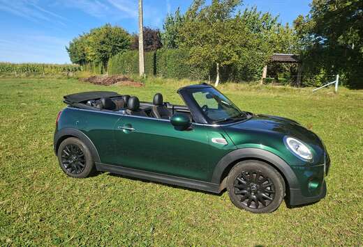 MINI Mini Cabriolet 1.5 Cooper