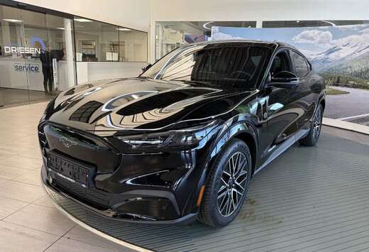 Ford 91 kWh Premium RWD