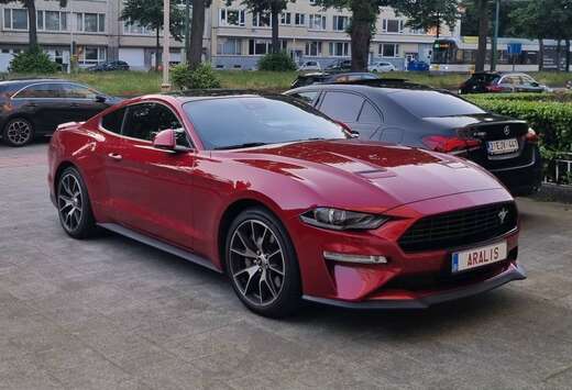 Ford Fastback 2.3 Eco Boost