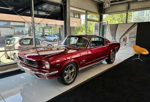 Ford Fastback 347 STroker