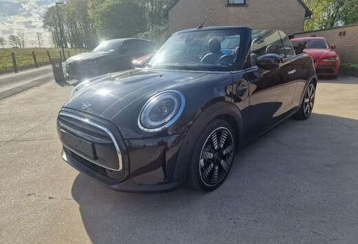 MINI Mini Cabriolet 1.5A Cooper OPF DCT / Leder/Harma ...