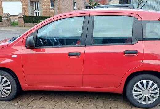 Fiat 1.2 Easy