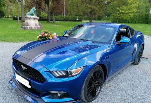 Ford 2.3 EcoBoost Blue Edition