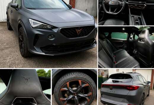 2.0 TDI CR 4Drive DSG