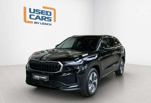 Skoda Selection+DSG+4x4+Stand-H.+Light&View+P.Conv.