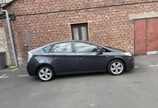 Toyota Business Line - Luna