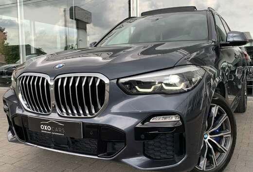 BMW 3.0 XDAS / Pack M Individual / Xdrive / Shadow Li ...