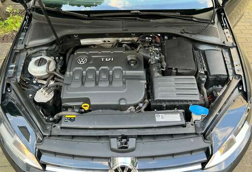 Volkswagen 1.6 CR TDi Highline