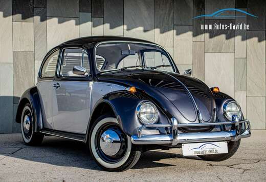 Volkswagen 1.3 1973 Type 11 / OLDTIMER / LEDER / WOLF ...
