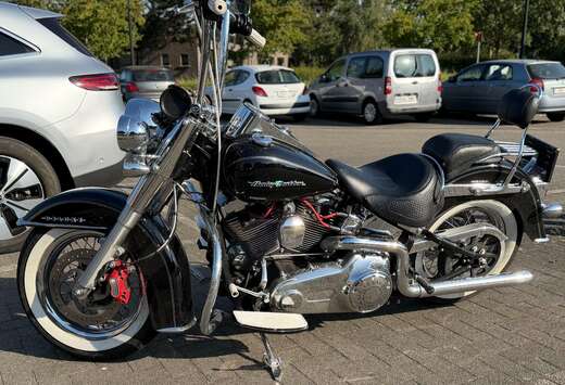 softail Deluxe (FLSTN)