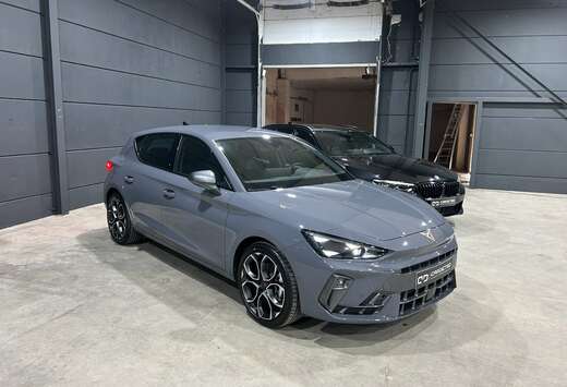 Dsg 1.5
