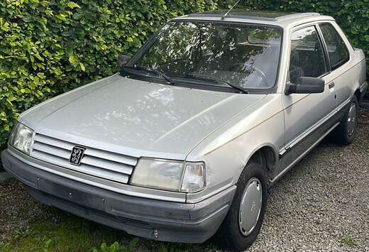 Peugeot 309 XL (XL Profil)