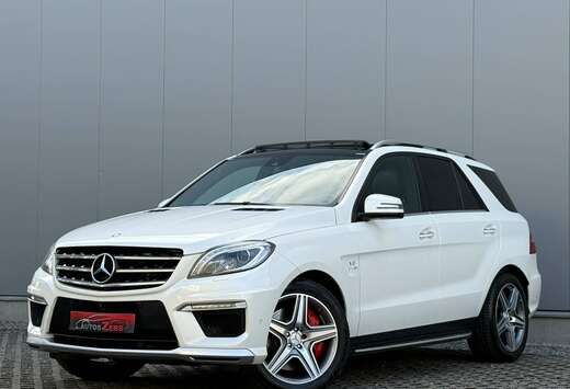 Mercedes-Benz V8 BITURBO 557PK LichtevrachtMetZetels  ...
