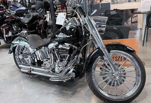 Fat boy showbike