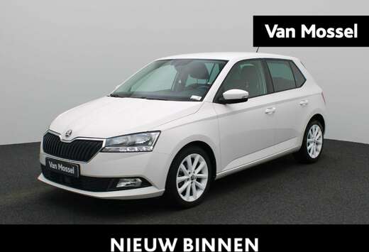 Skoda 1.0 TSI 81kW Clever