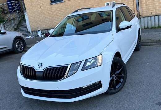 Skoda break , 1.6TDI, 2018, 85kw 0032478767323