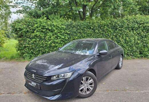 Peugeot Active