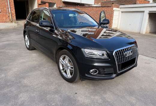 Audi Business Line