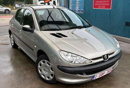 Peugeot 206 1.1i Enfant Terrible