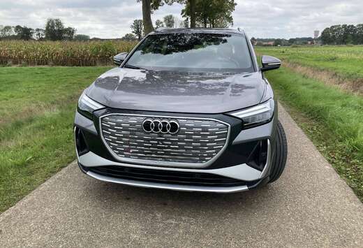 Audi 45 S-line 82 kWh *ACC*trekhaak*leder*verwarmde z ...