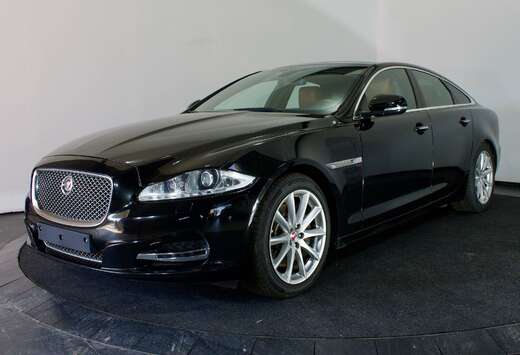 Jaguar 3.0D V6  Luxury Automaat  Leder  Sunroof