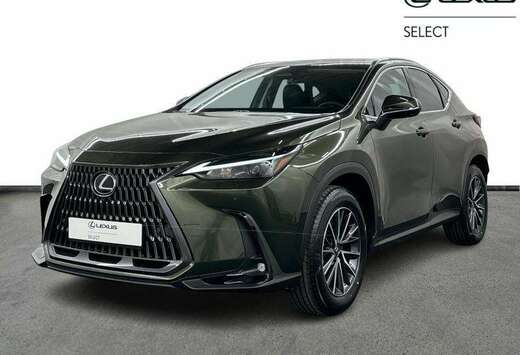 Lexus Executive Line + HUD