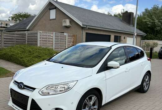 Ford Sedán 1.6TDCi Trend 115