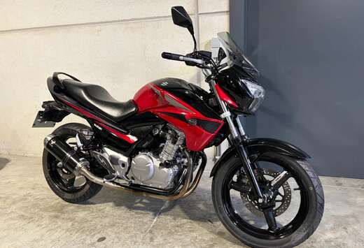 Suzuki GW250 lichte, handige naked bike