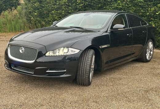 Jaguar XJ 3.0 V6 Diesel S Premium Luxury