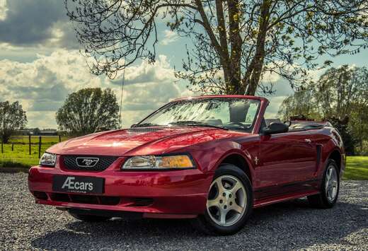 Ford 3.8i V6 *** CABRIOLET / AUTO / ONLY 12.300 KM ** ...