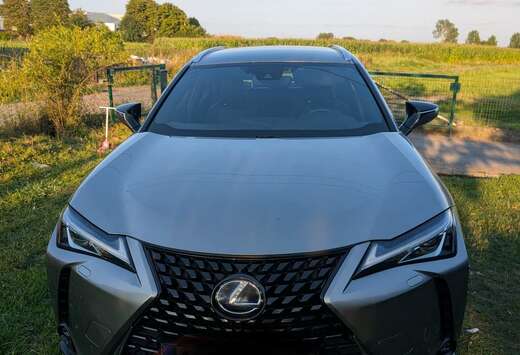 Lexus Amazing Edition