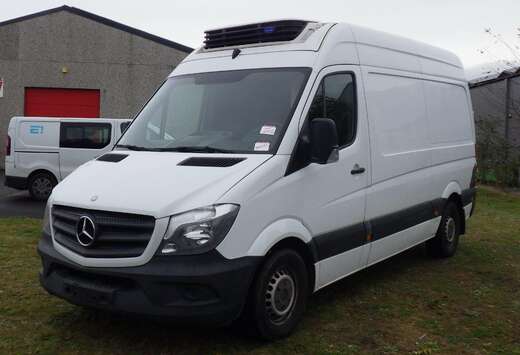 Mercedes-Benz 313 (Stock ID 76637)