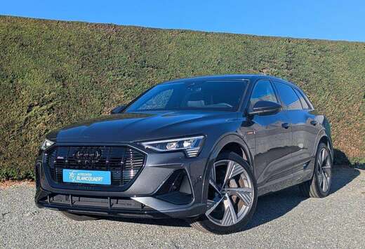 Audi (Q8)e-tron 2x s-line- ambiance - B&O