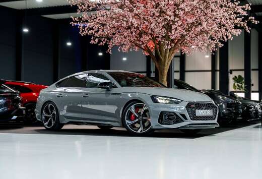 Audi Sportback 2.9 V6 TFSI Quattro - Nardo Grey - Mat ...
