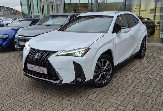 Lexus AWD F-SPORT LINE +LEDER +Mark Levinson +360Cam