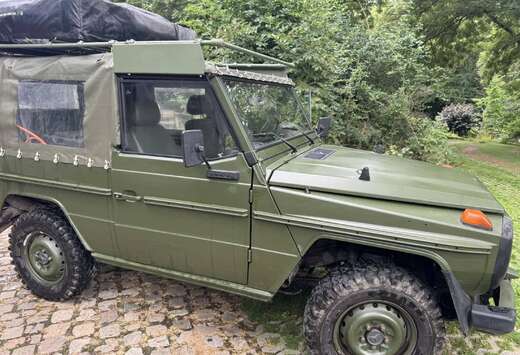 Mercedes-Benz g 250 gd
