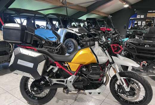 TT Evocative Jaune